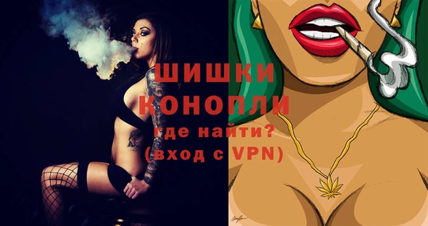 бошки Снежногорск