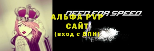 ALPHA PVP Белокуриха