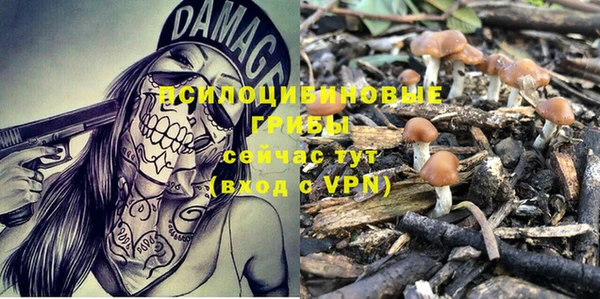 ALPHA PVP Белокуриха