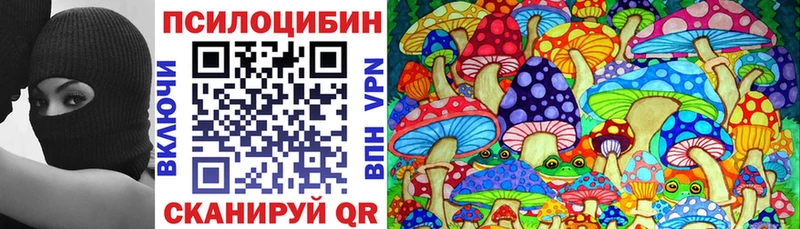ОМГ ОМГ как войти  Черняховск  Галлюциногенные грибы GOLDEN TEACHER 