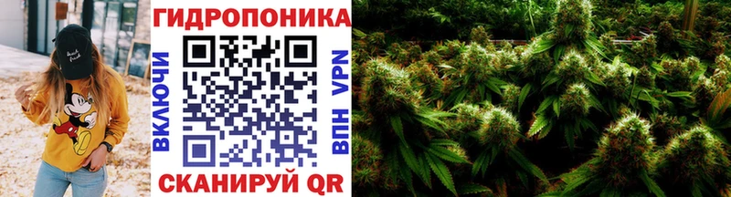 Бошки Шишки марихуана  дарнет шоп  Черняховск 